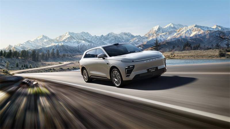 2025奇家宴點亮蕪湖,開啟高質量發展新征程