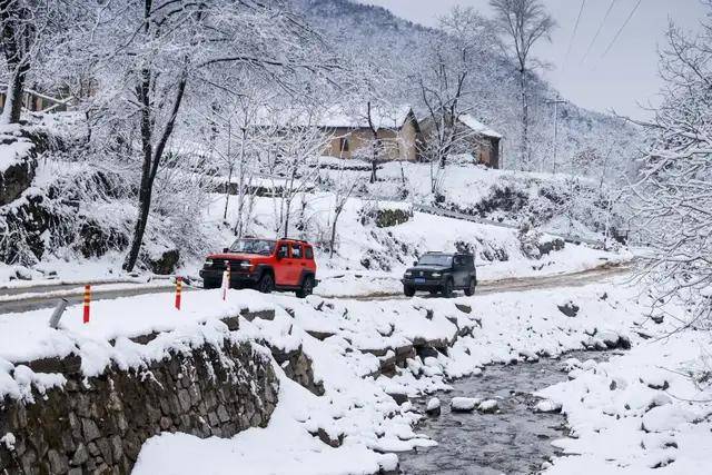 別人在熱鬧中搶位置,坦克在冷門中搶心智